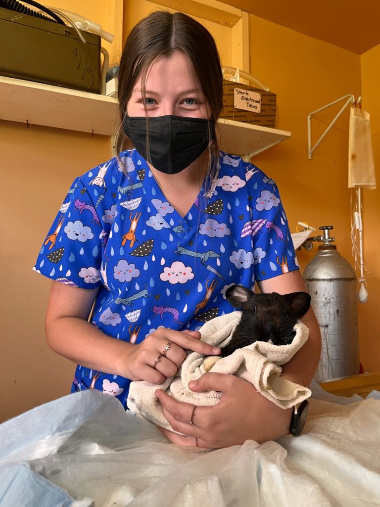 Study Abroad Smith Center for International Sustainable Agriculture