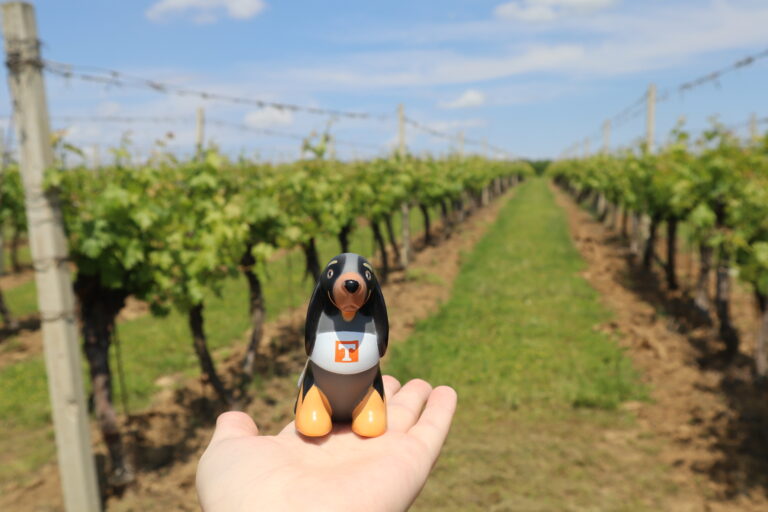 2025 – A Year of Firsts, Adventures, and Successes