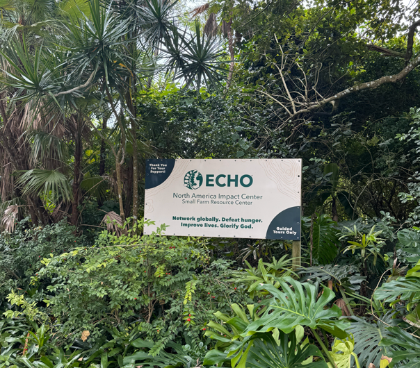 Combatting Hunger at ECHO With Gracie Carter