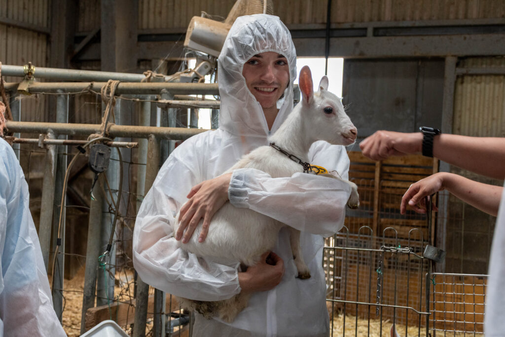 A student holding a baby goat.