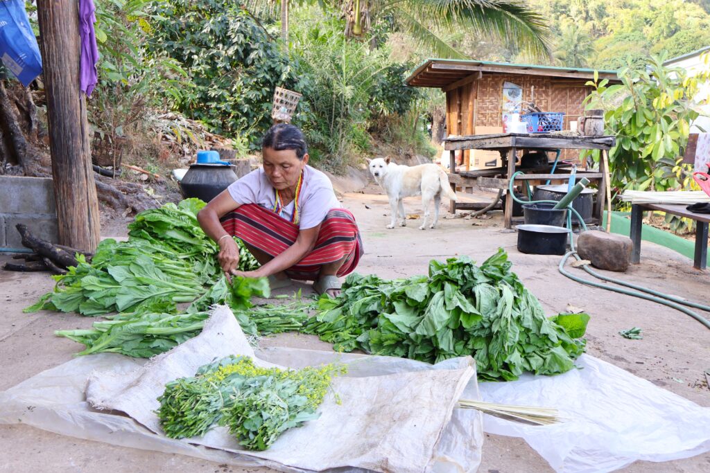 An individual working with leafy greens. A white dog is in the background of the photo, looking in on the work.