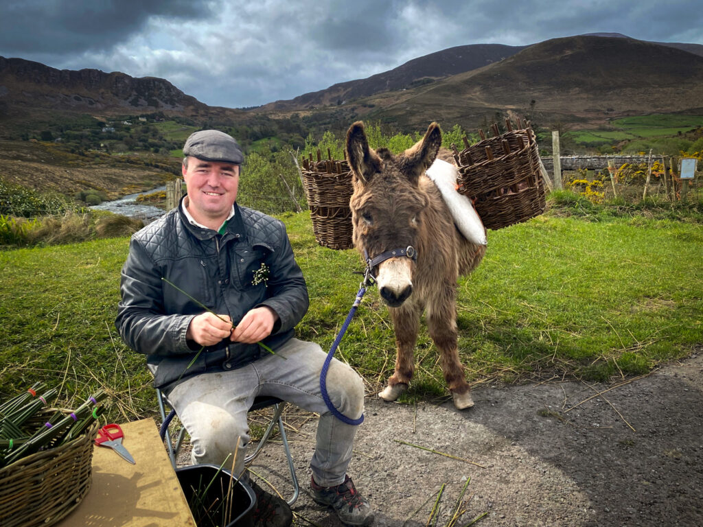 A man sitting next to a donkey that has baskets on its back. There are bright green mountains in the background.