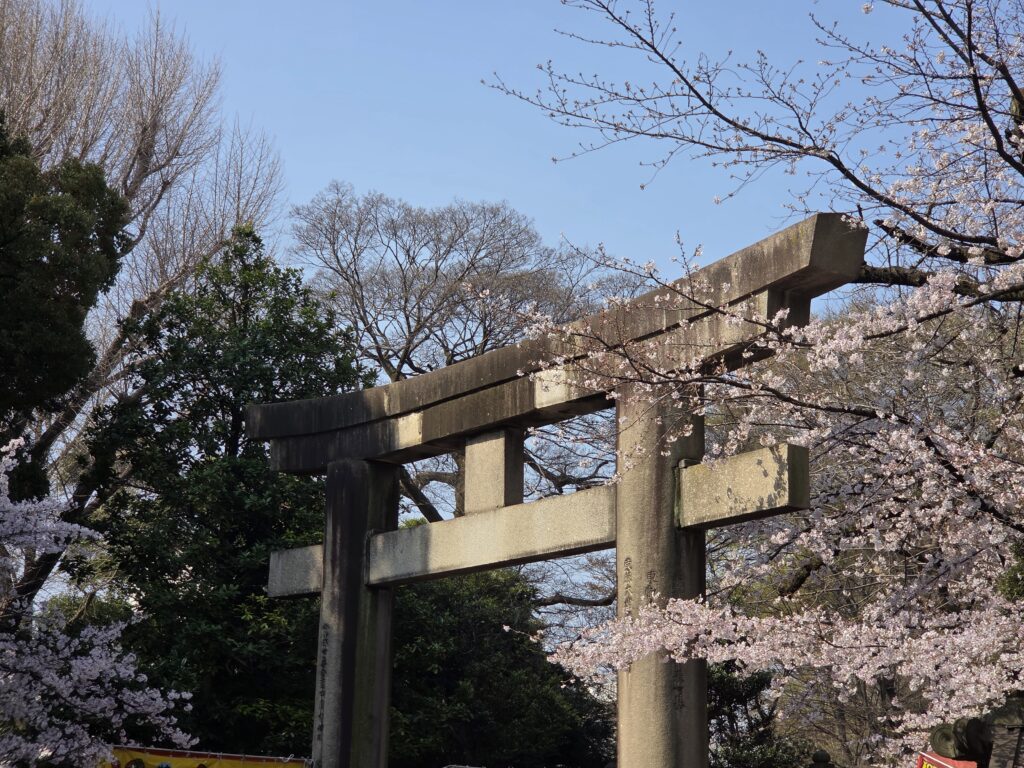 A cement gate structure surrounded by pink blossoming cherry blossoms.